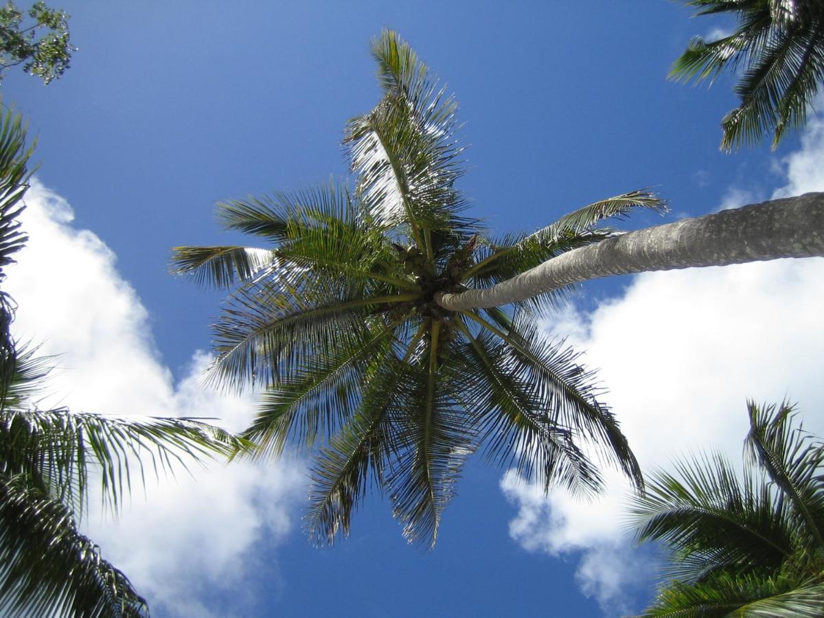 לאס גלראס Palm-Covered House In The Tropical -Casa Oli מראה חיצוני תמונה