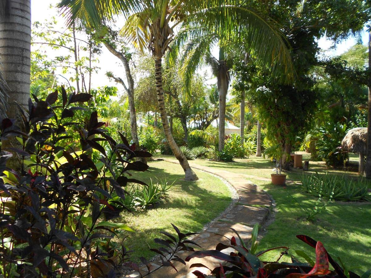 לאס גלראס Palm-Covered House In The Tropical -Casa Oli מראה חיצוני תמונה
